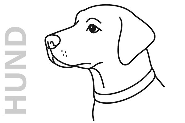 Verktorübertrageneinfektion: HUND