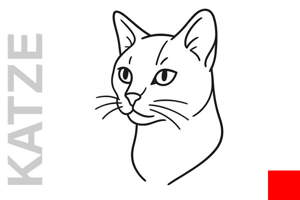 Verktorübertrageneinfektion: KATZE