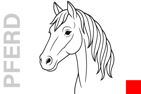 Verktorübertrageneinfektion: PFERD